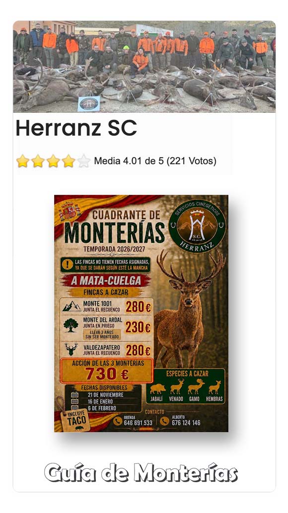 Programas de Monterias